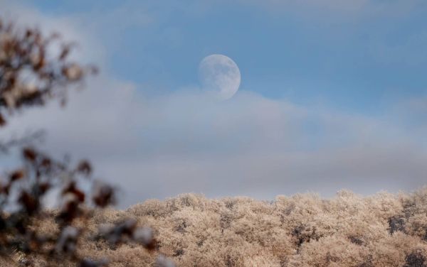 Schnee Mond