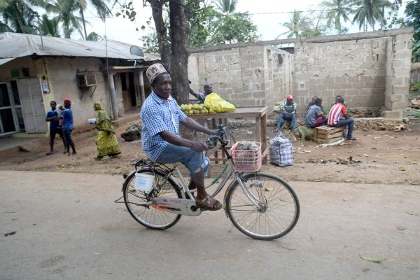 Tanzania Sansibar Orangen