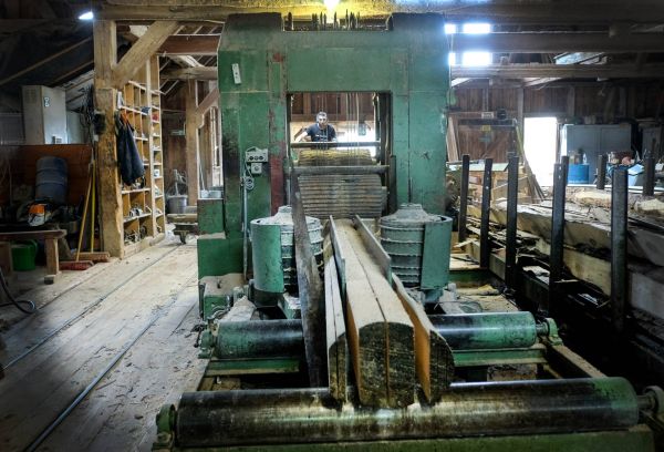 Sägewerk Baum Bretter