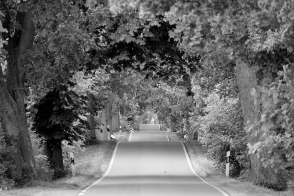 Strasse Wellen Allee