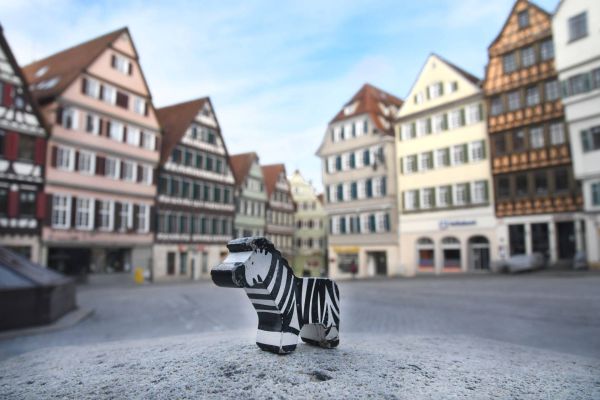 Marktplatz Tübingen Zebra