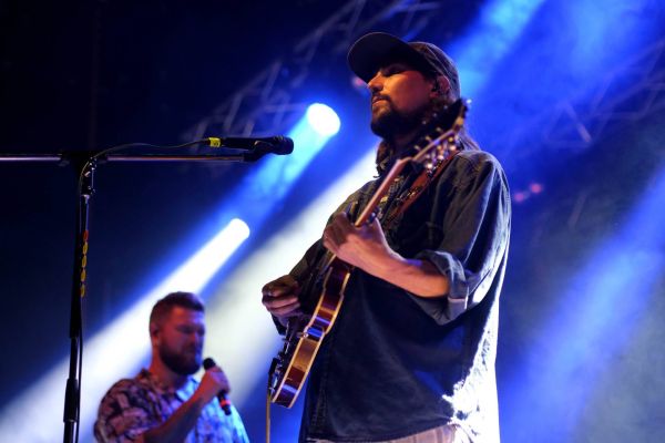 The Gardener and the Tree Gitarre Licht
