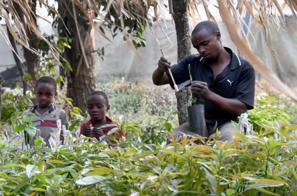 Tanzania Farm Avocado Café