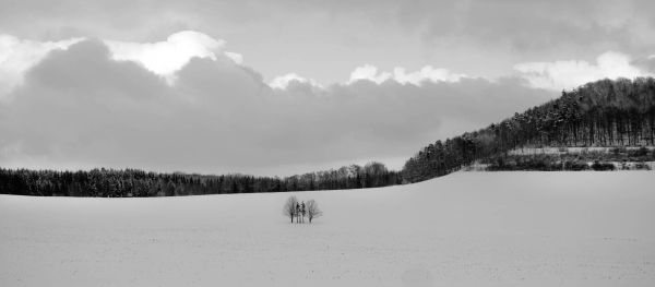 Horizont Schnee baum
