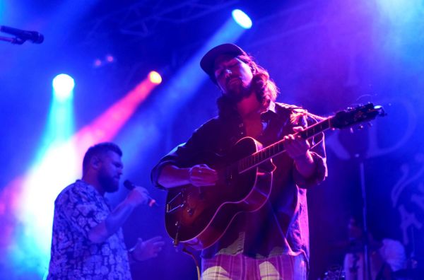 The Gardener and the Tree Gitarre