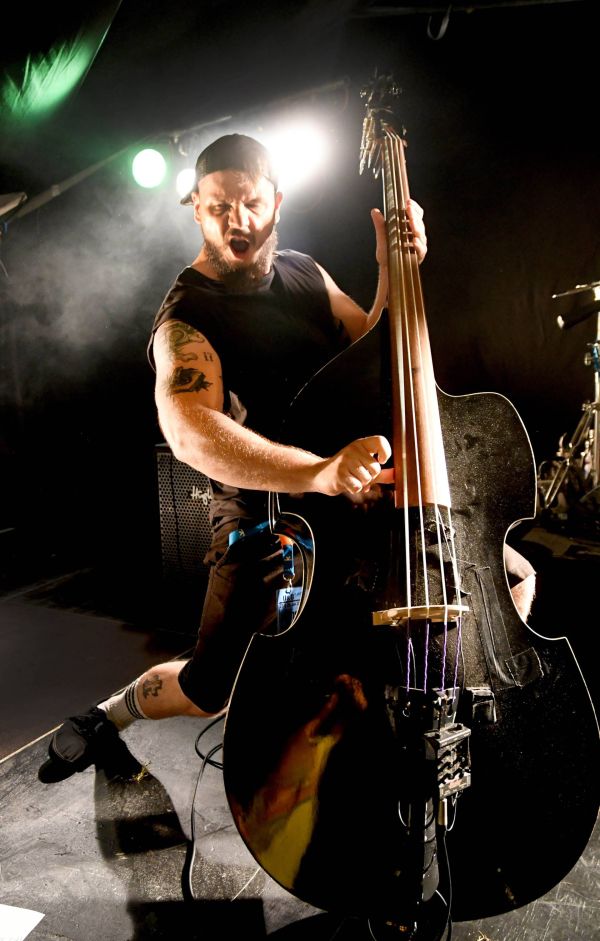 Bloodstrings Bass Kontrabass